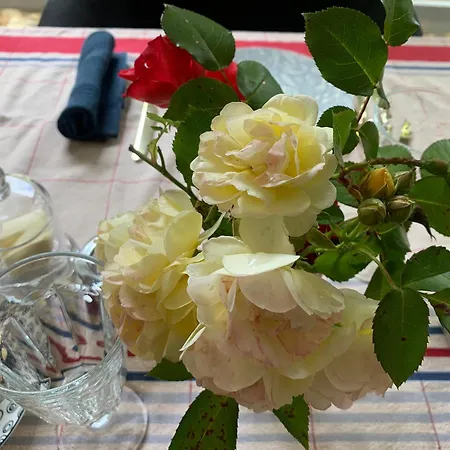 L Orée Du Bois Couette-café